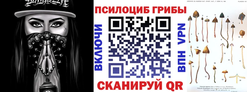Псилоцибиновые грибы Cubensis  где можно купить   OMG ССЫЛКА  Лабытнанги 